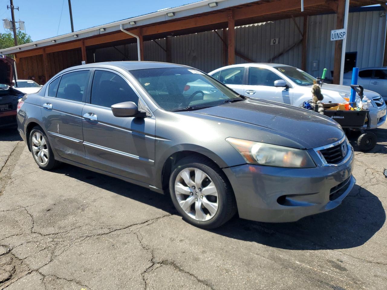 2008 Honda Accord Exl Gray vin: 1HGCP36808A089244