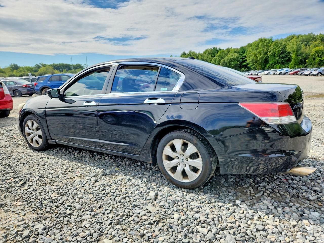 2009 Honda Accord Exl Black vin: 1HGCP36809A028624