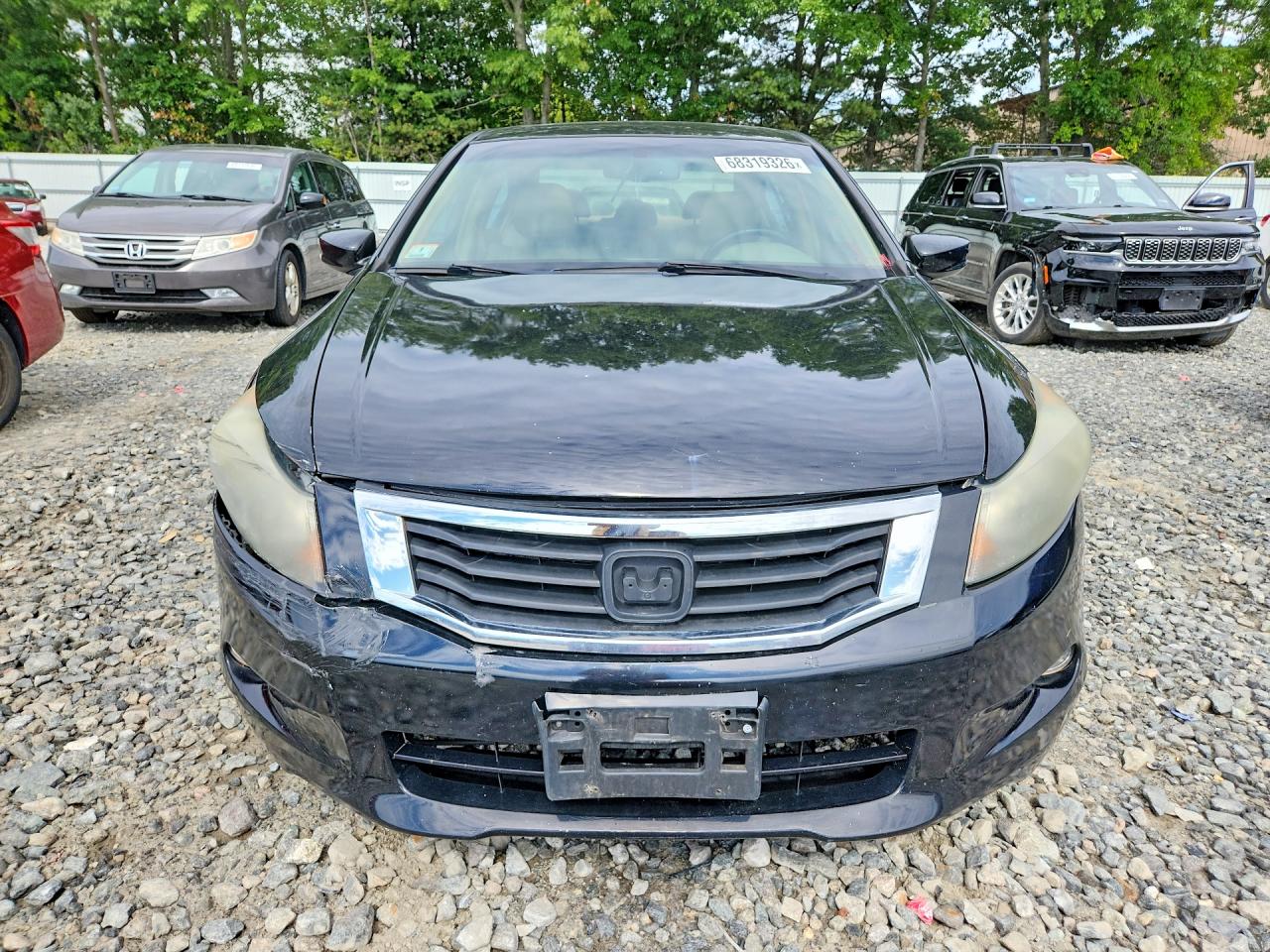 2009 Honda Accord Exl Black vin: 1HGCP36809A028624