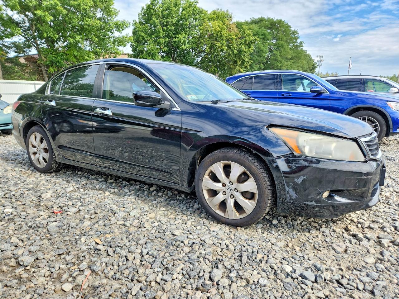 2009 Honda Accord Exl Black vin: 1HGCP36809A028624