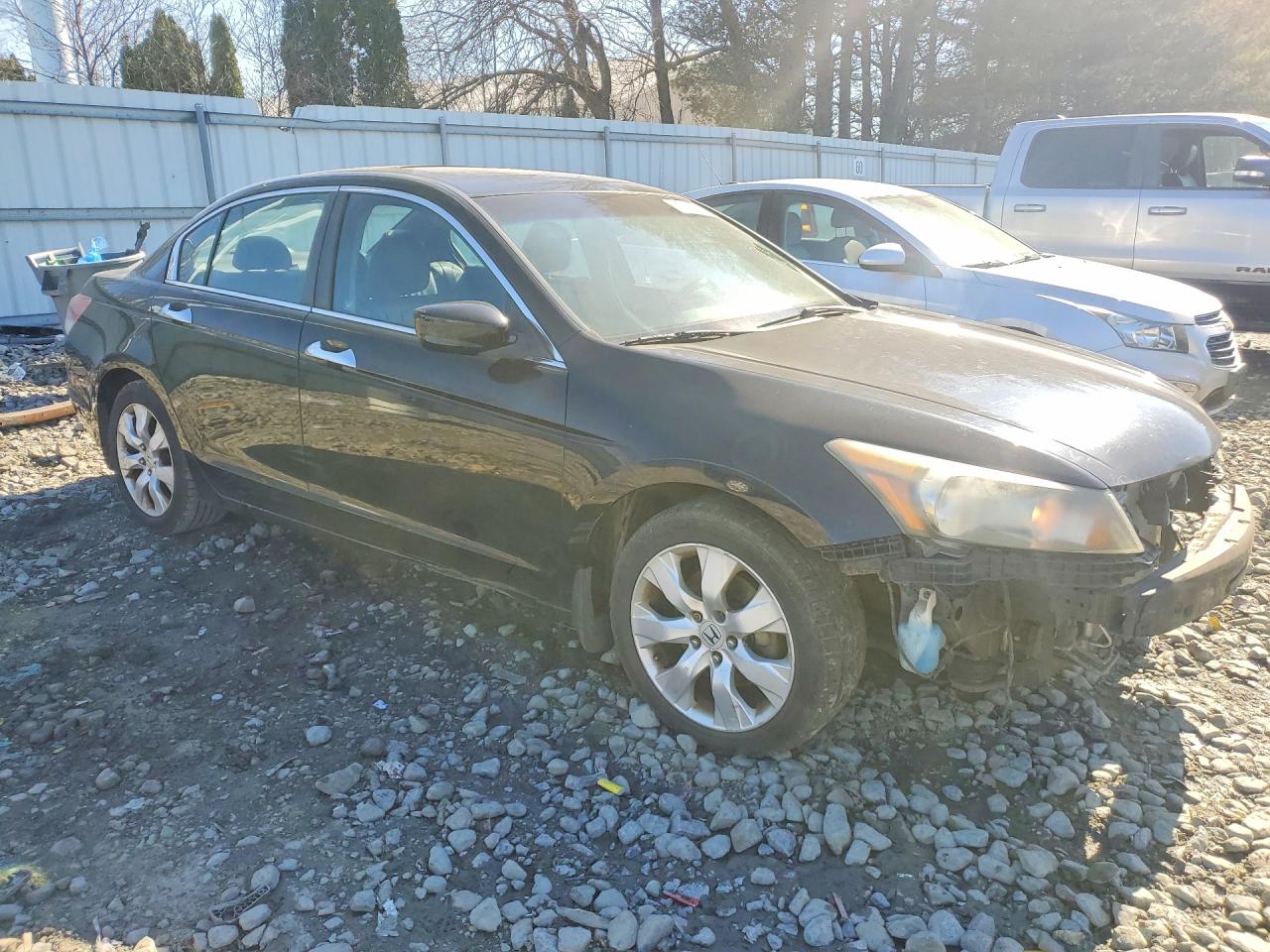 2009 Honda Accord Exl Black vin: 1HGCP36809A029241