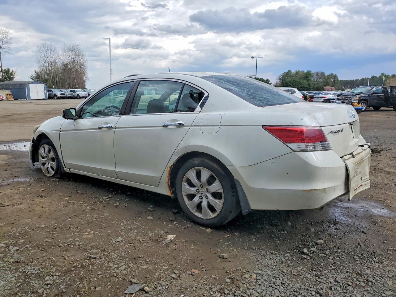 2008 Honda Accord White vin: 1HGCP36818A031465