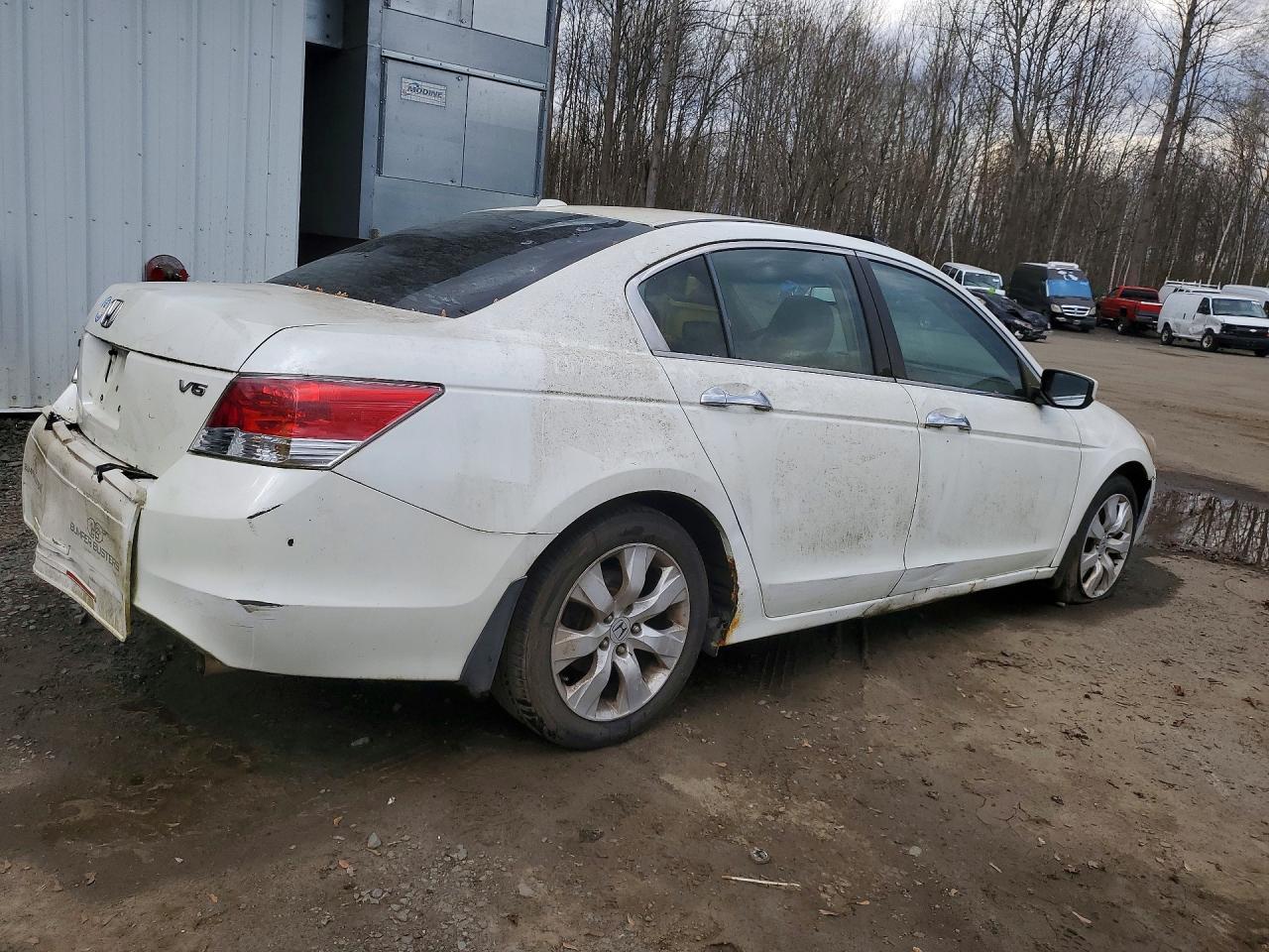 2008 Honda Accord White vin: 1HGCP36818A031465