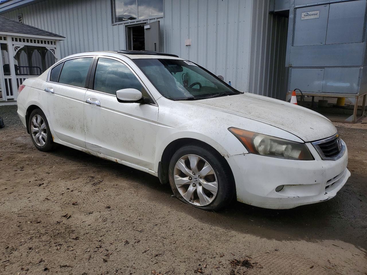 2008 Honda Accord White vin: 1HGCP36818A031465