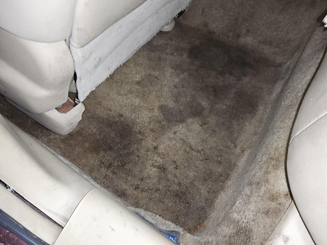 2008 Honda Accord Exl Burgundy vin: 1HGCP36818A036276 Damage: Left Rear Carpet, Stained, Permanent