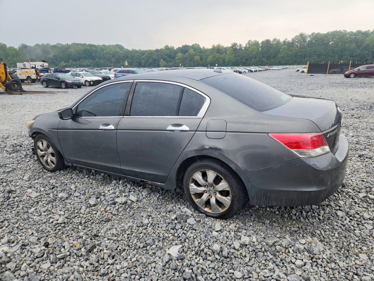 2008 Honda Accord Exl Gray vin: 1HGCP36818A052977