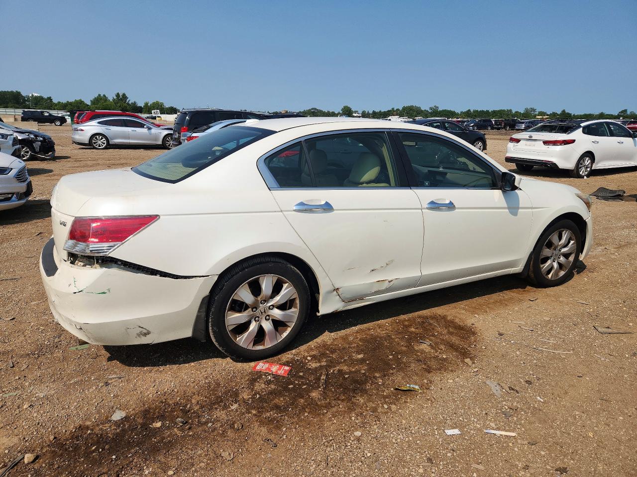 2008 Honda Accord Exl White vin: 1HGCP36818A085655