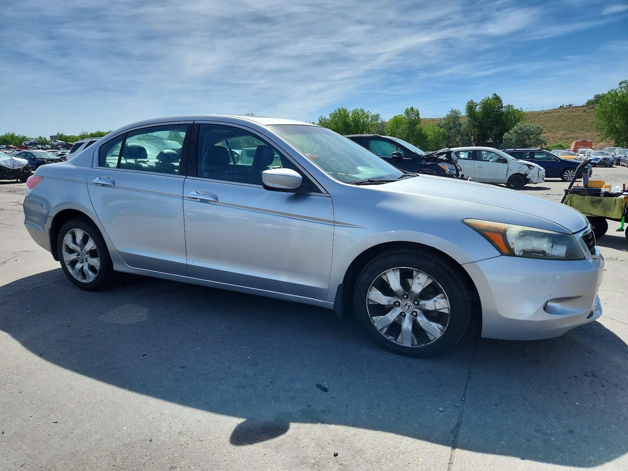 2009 Honda Accord Exl Silver vin: 1HGCP36819A008611