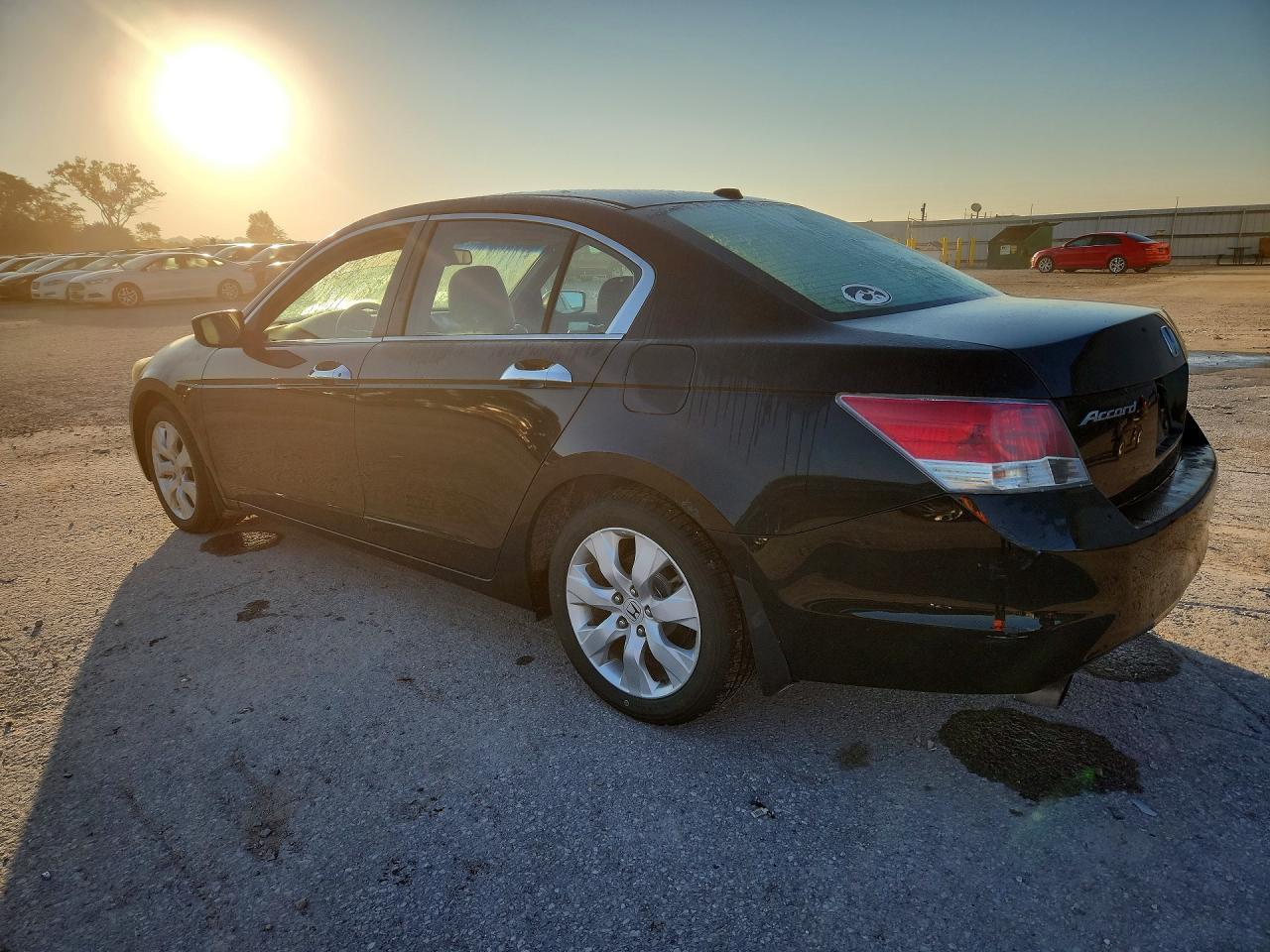 2009 Honda Accord Exl Black vin: 1HGCP36819A012139