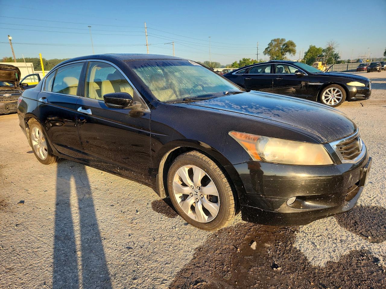 2009 Honda Accord Exl Black vin: 1HGCP36819A012139