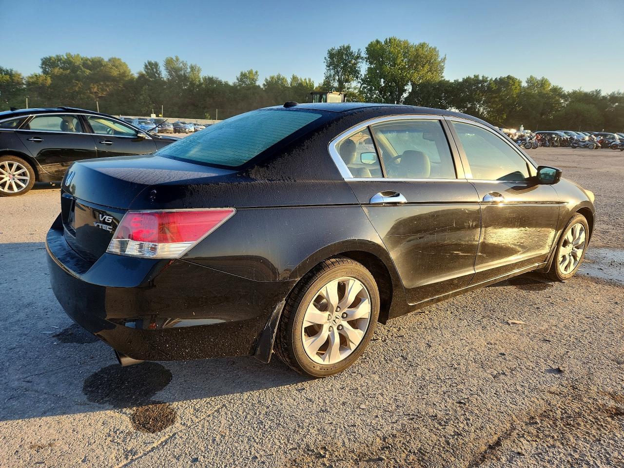 2009 Honda Accord Exl Black vin: 1HGCP36819A012139