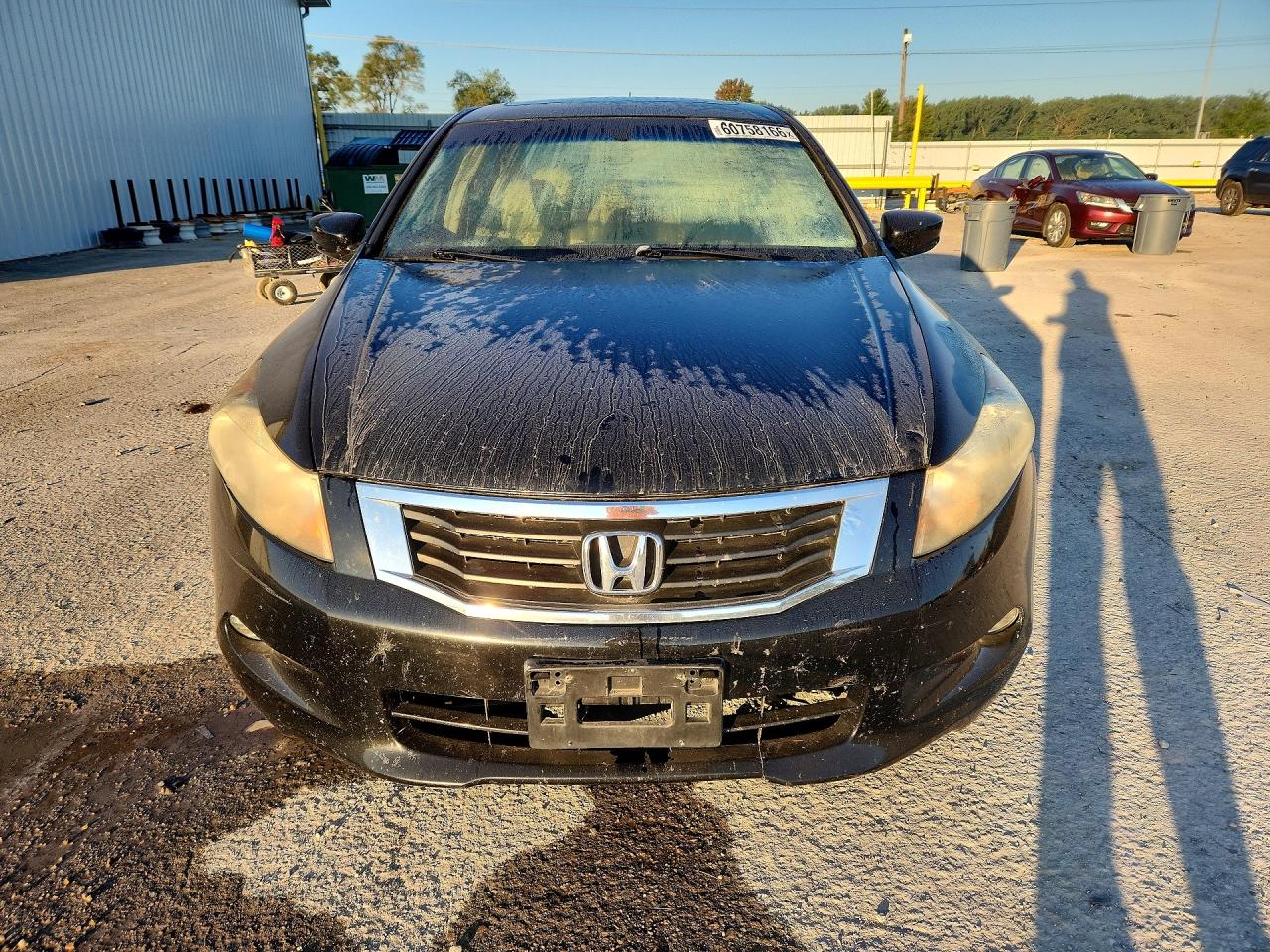 2009 Honda Accord Exl Black vin: 1HGCP36819A012139