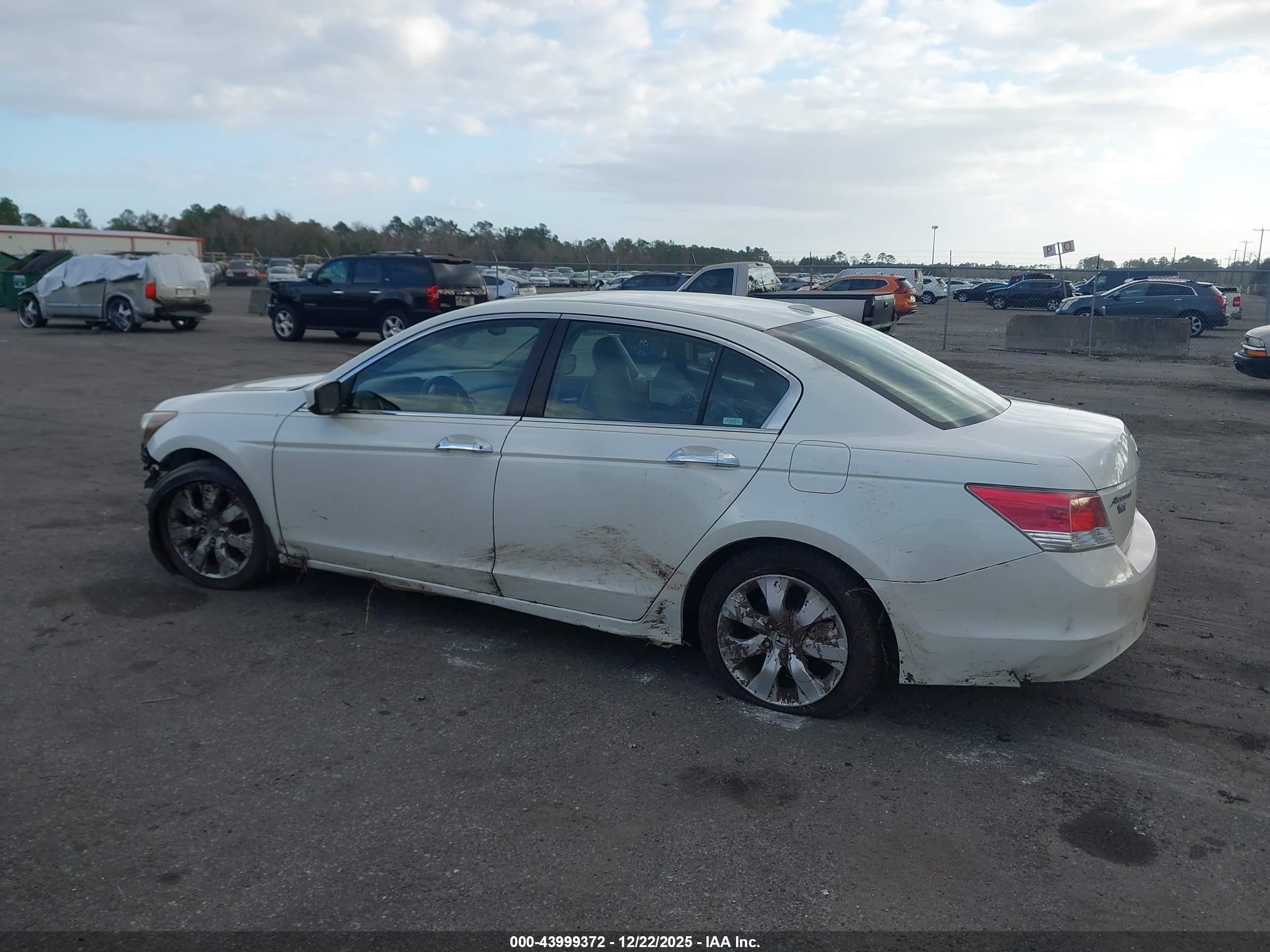 2009 Honda Accord 3.5 Ex-l Белый vin: 1HGCP36819A032469