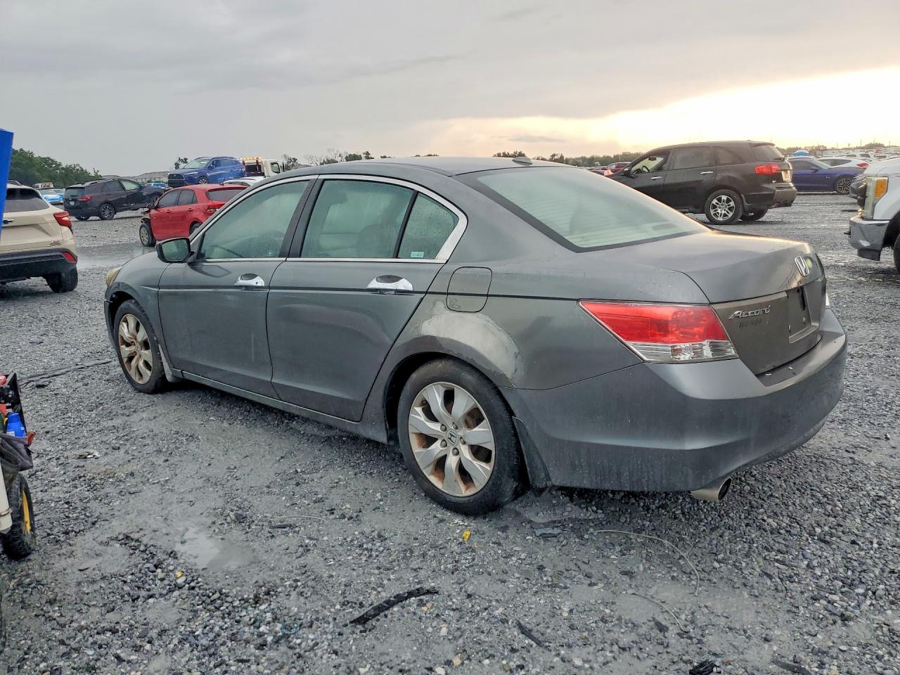 2009 Honda Accord Exl Gray vin: 1HGCP36819A040068