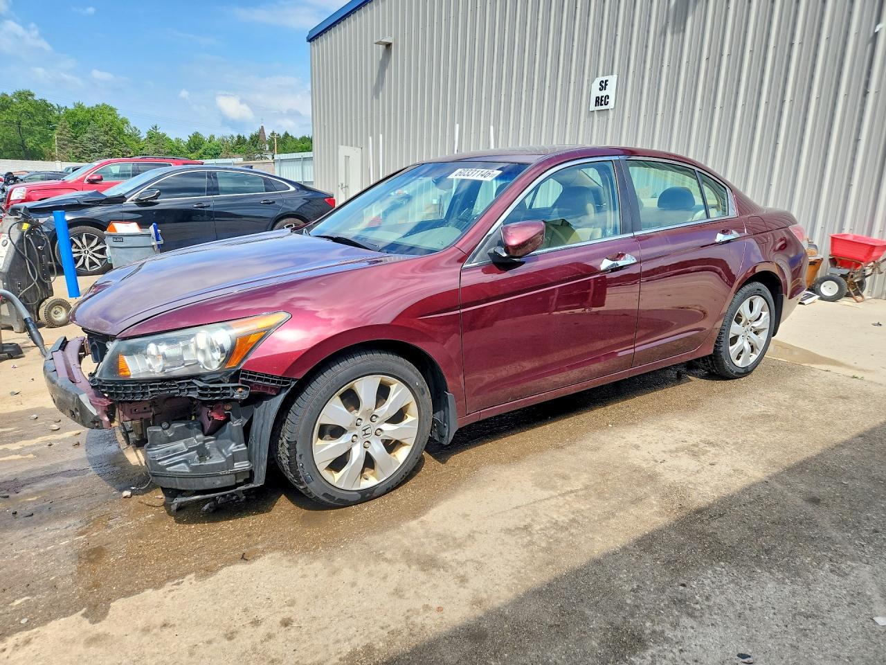 2009 Honda Accord Exl Maroon vin: 1HGCP36819A040393