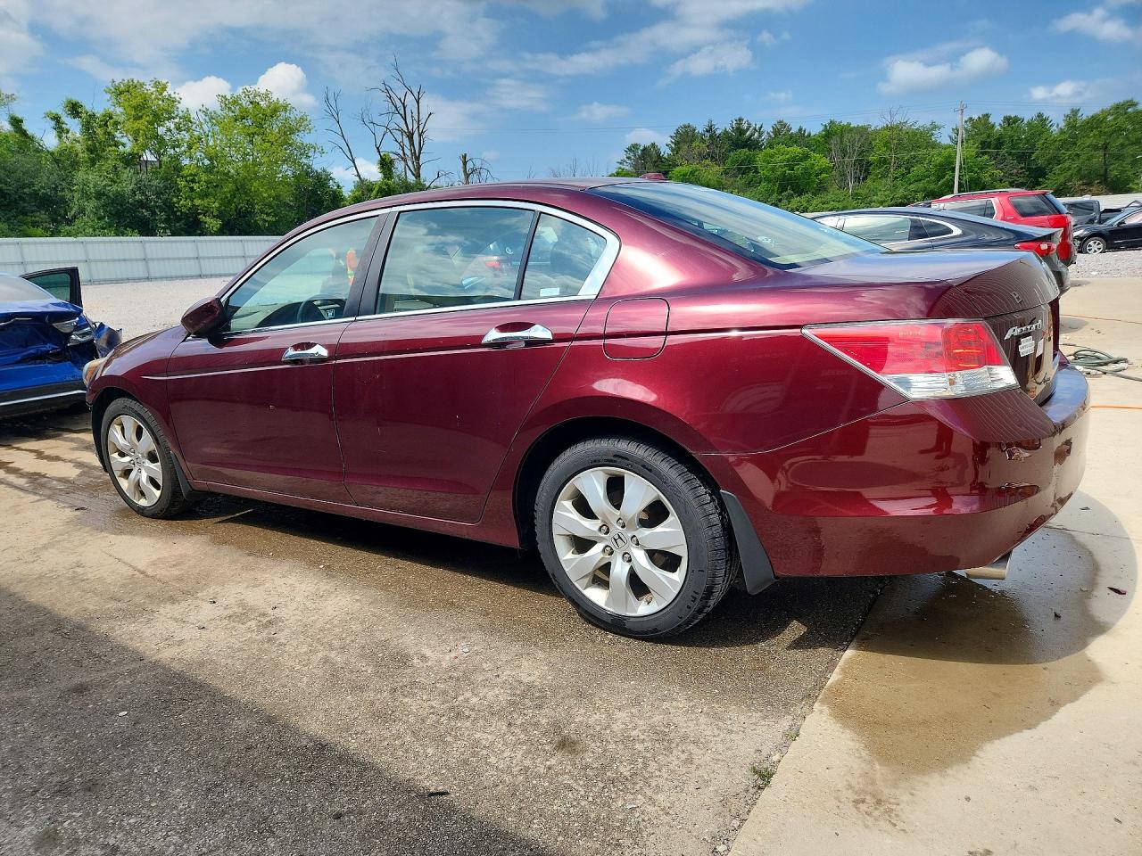 2009 Honda Accord Exl Maroon vin: 1HGCP36819A040393