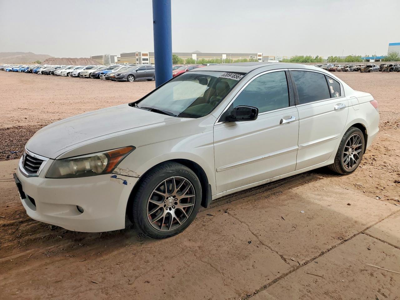 2009 Honda Accord Exl White vin: 1HGCP36819A041558