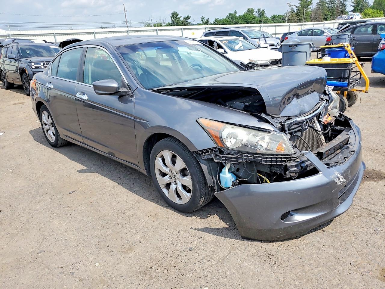 2009 Honda Accord Exl Gray vin: 1HGCP36819A047716