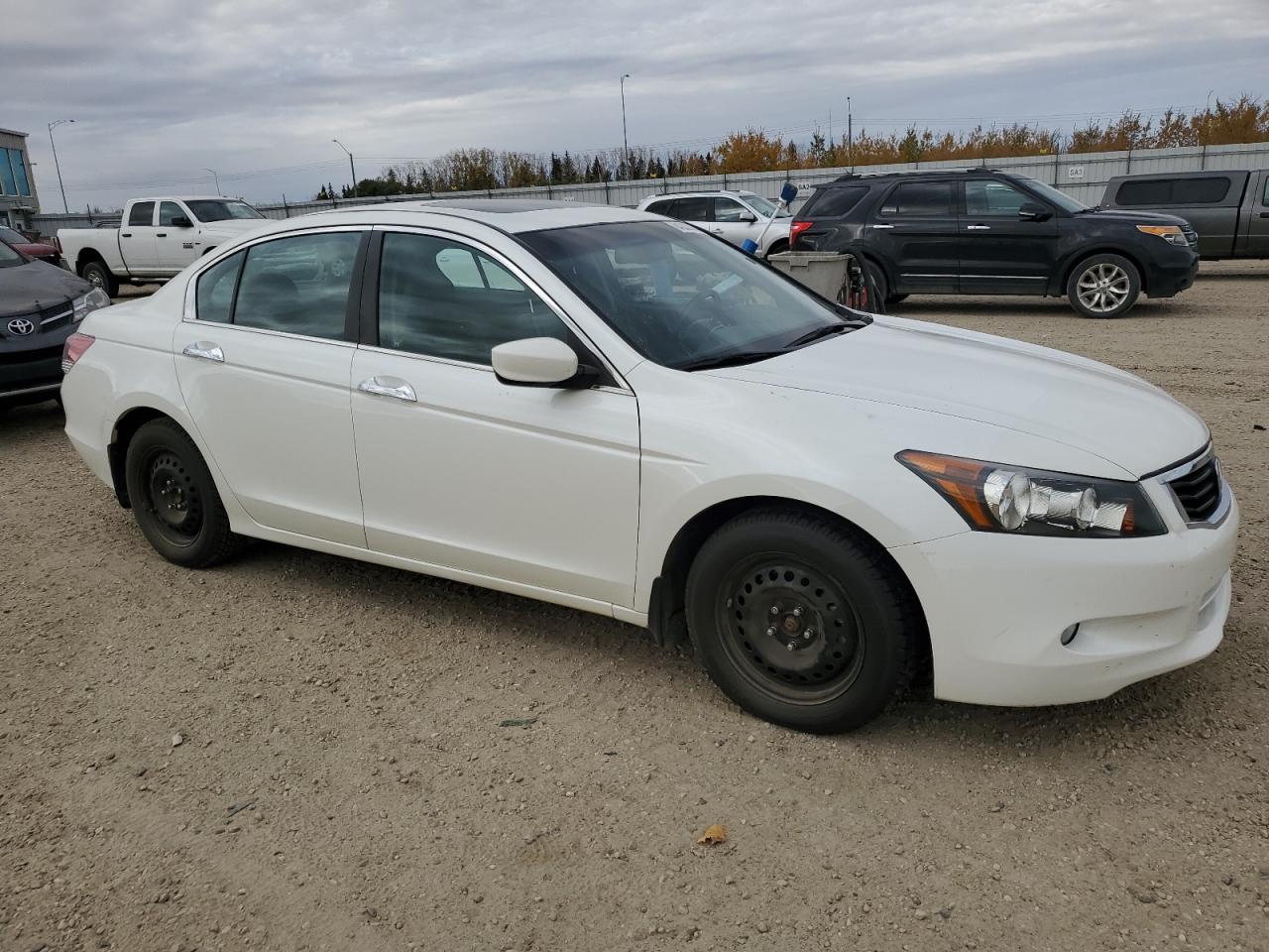 2009 Honda Accord Exl White vin: 1HGCP36819A800497