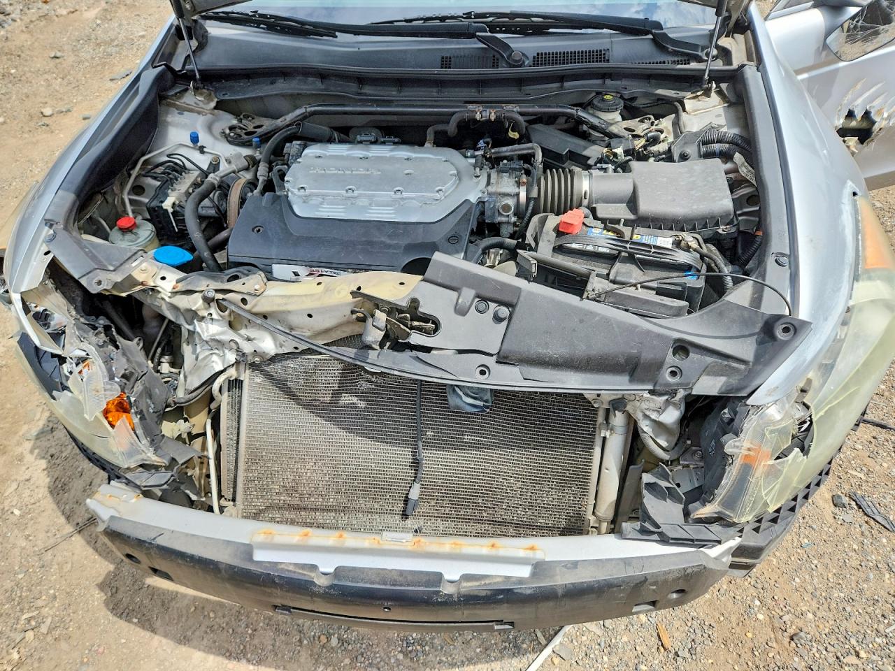 2008 Honda Accord Exl Серебряный vin: 1HGCP36828A043463