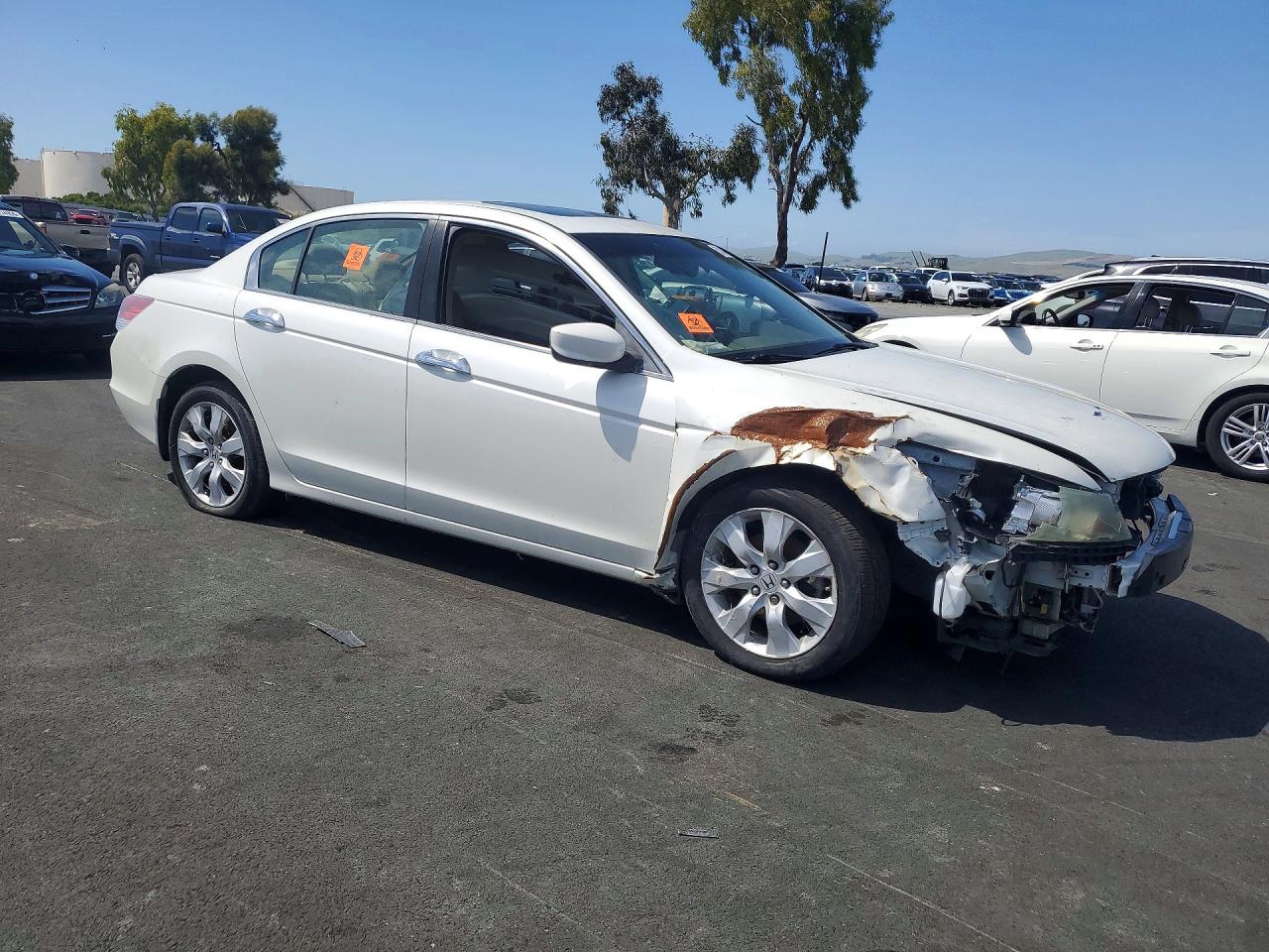 2006 Honda Accord Белый vin: 1HGCP36828A051322