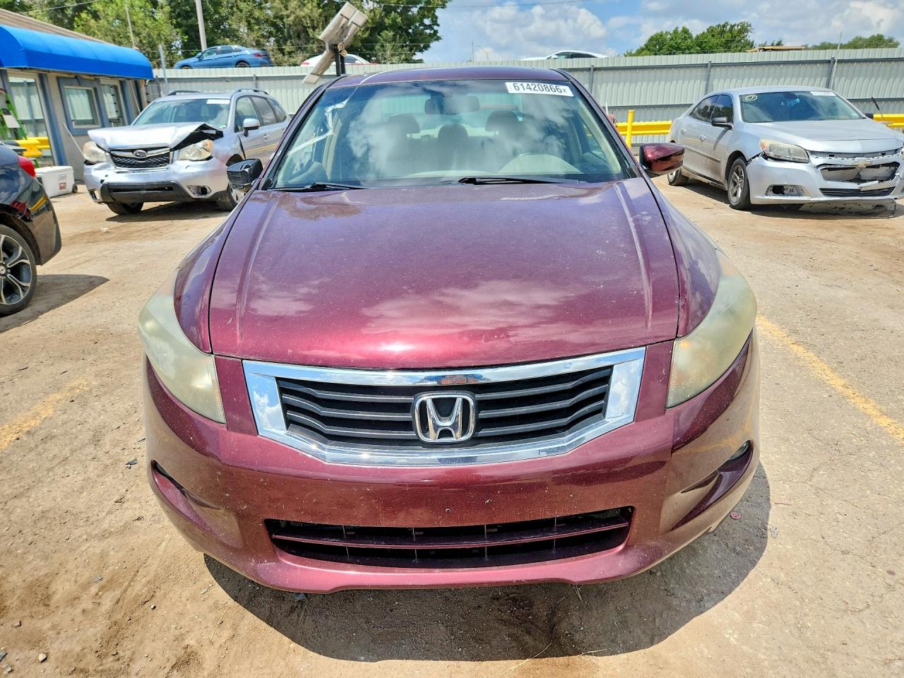2008 Honda Accord Exl Maroon vin: 1HGCP36828A084210