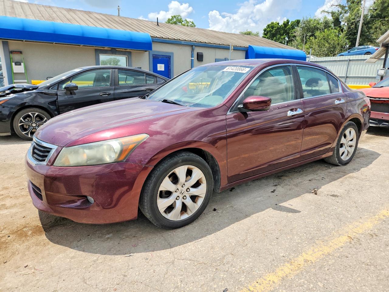 2008 Honda Accord Exl Maroon vin: 1HGCP36828A084210