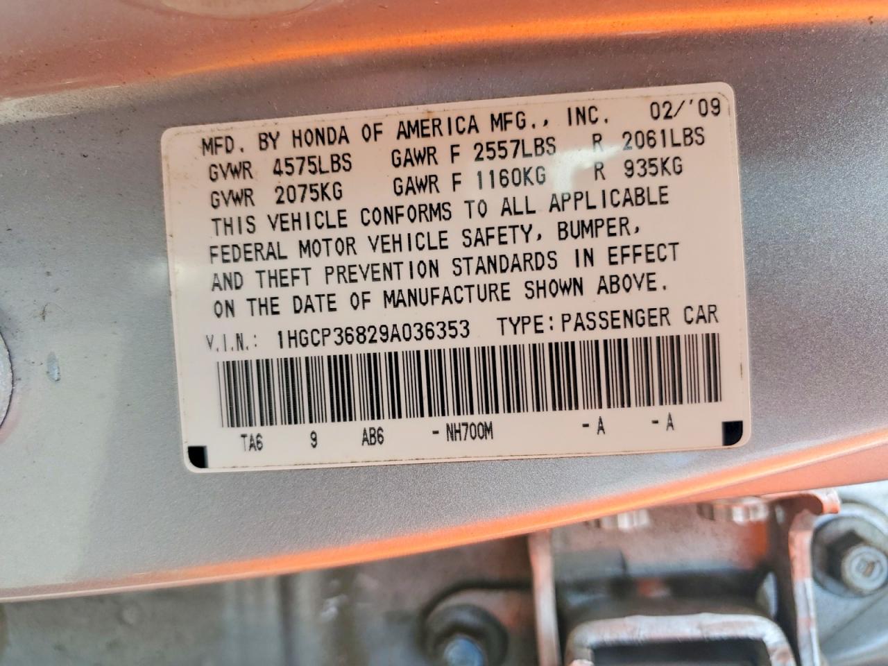 2009 Honda Accord Exl Silver vin: 1HGCP36829A036353