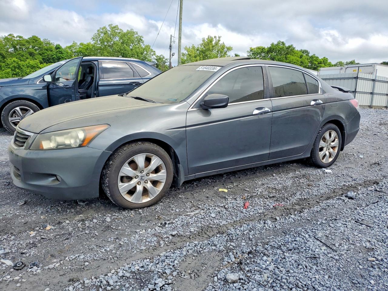 2008 Honda Accord Exl Gray vin: 1HGCP36838A002789