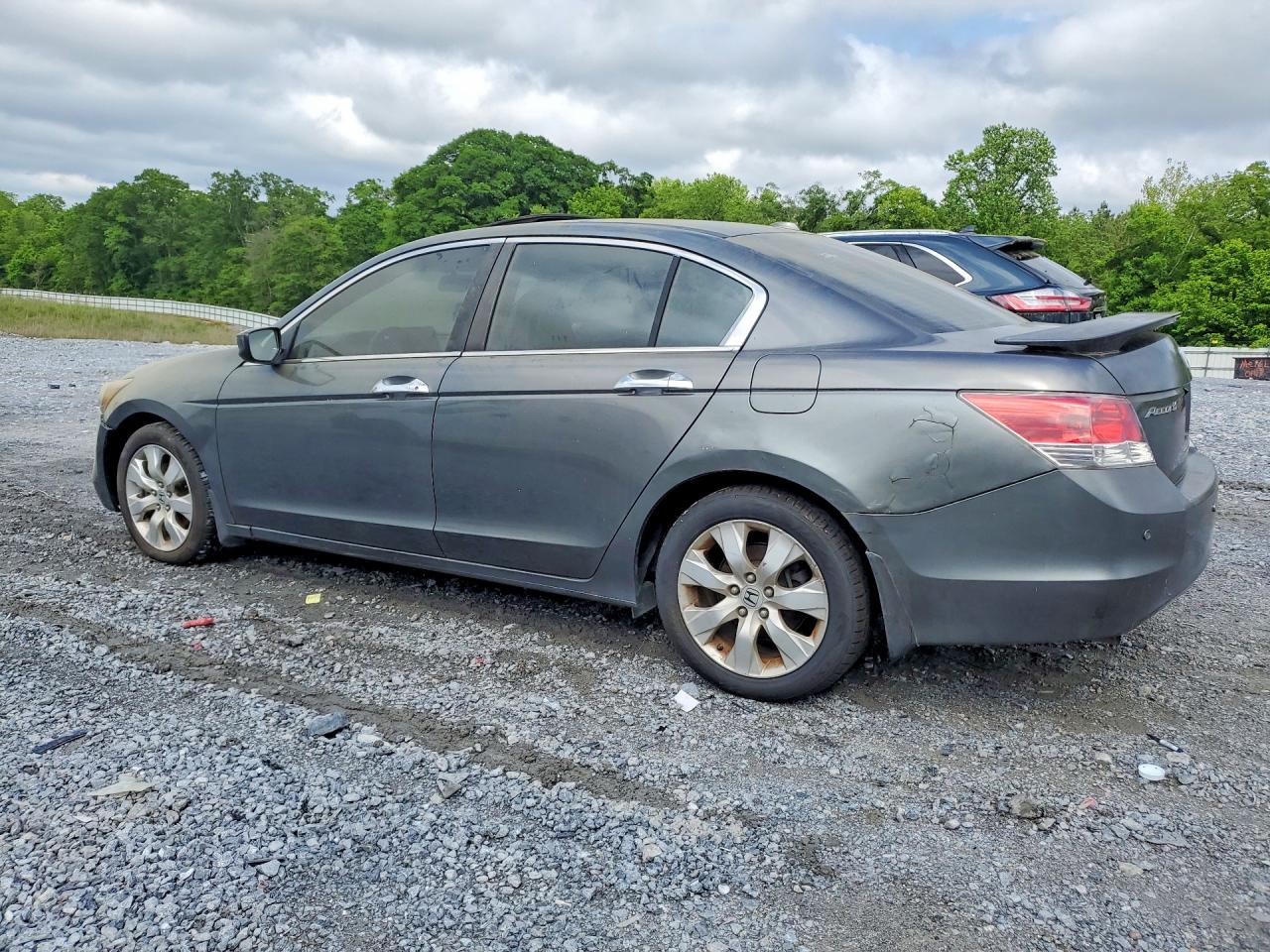 2008 Honda Accord Exl Gray vin: 1HGCP36838A002789