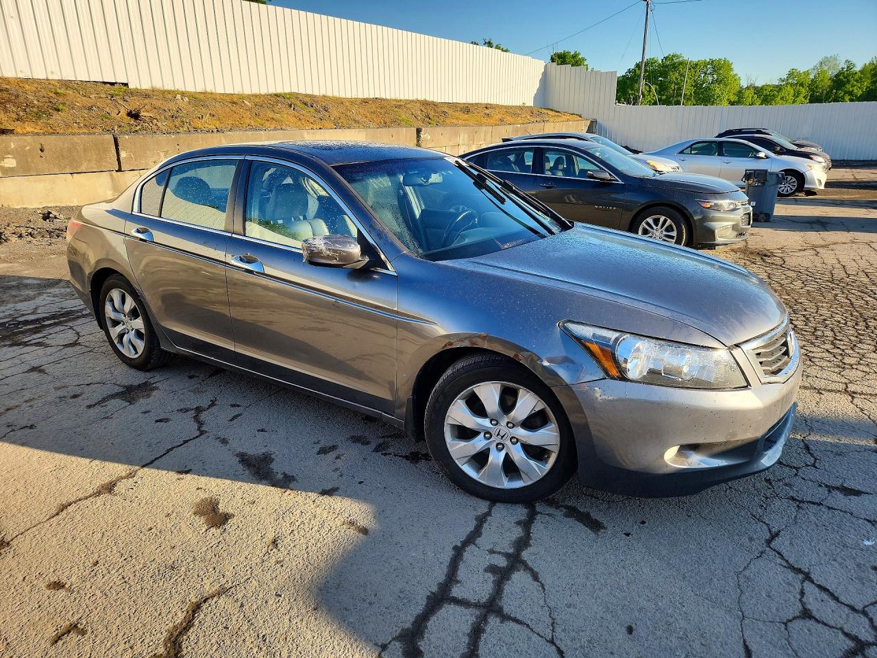 2008 Honda Accord Exl Gray vin: 1HGCP36838A008544