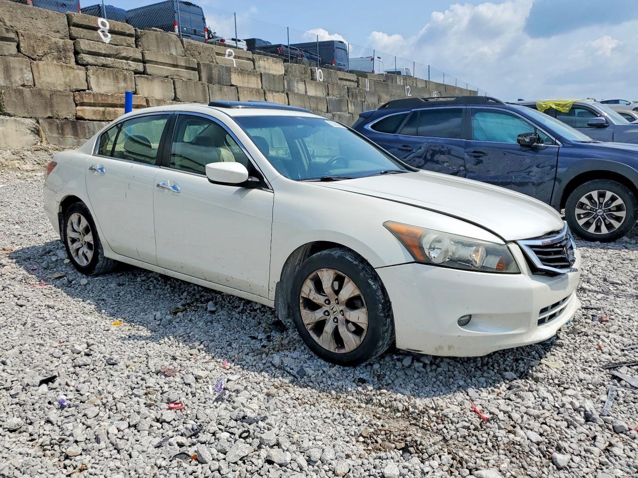 2008 Honda Accord Exl White vin: 1HGCP36838A018295