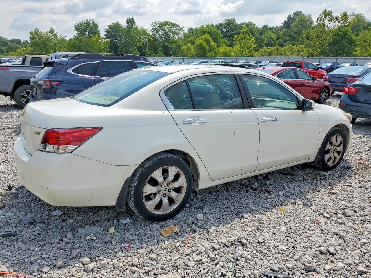 2008 Honda Accord Exl White vin: 1HGCP36838A018295