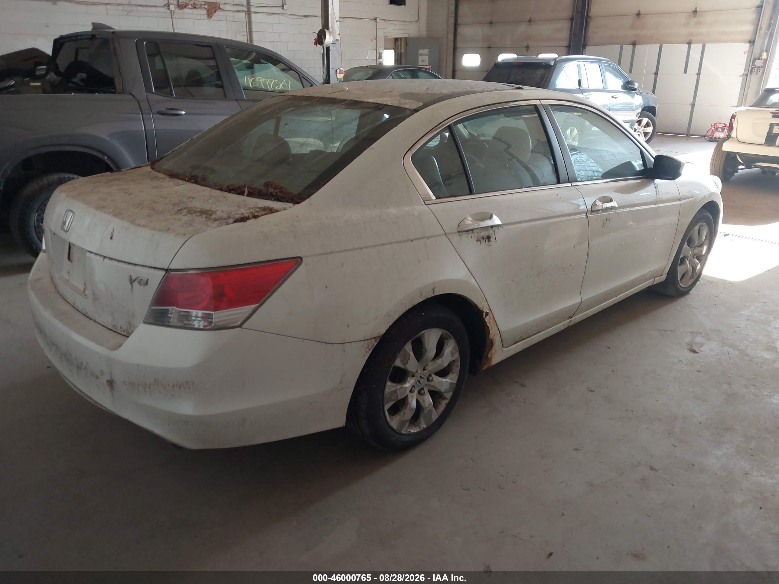 2008 Honda Accord 3.5 Ex-l White vin: 1HGCP36838A034786