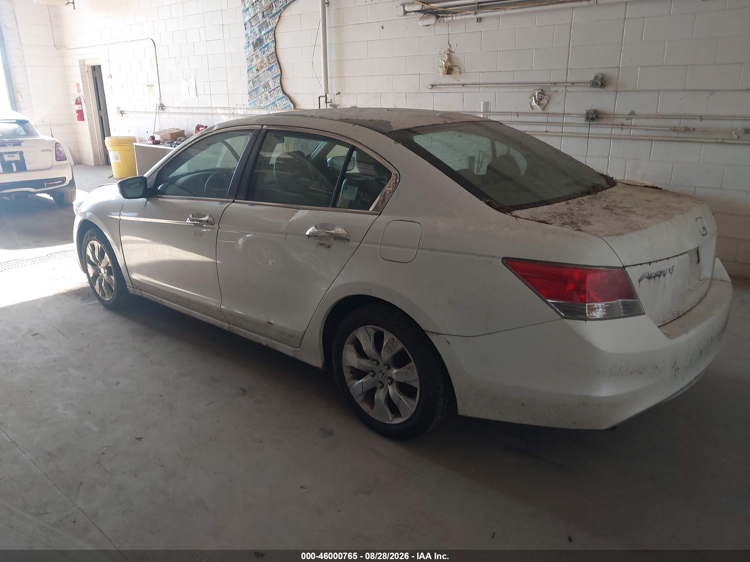 2008 Honda Accord 3.5 Ex-l White vin: 1HGCP36838A034786