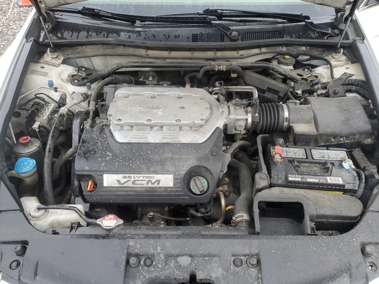 2008 Honda Accord Exl White vin: 1HGCP36838A041057