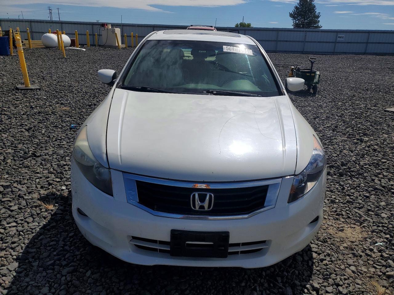 2008 Honda Accord Exl White vin: 1HGCP36838A058537