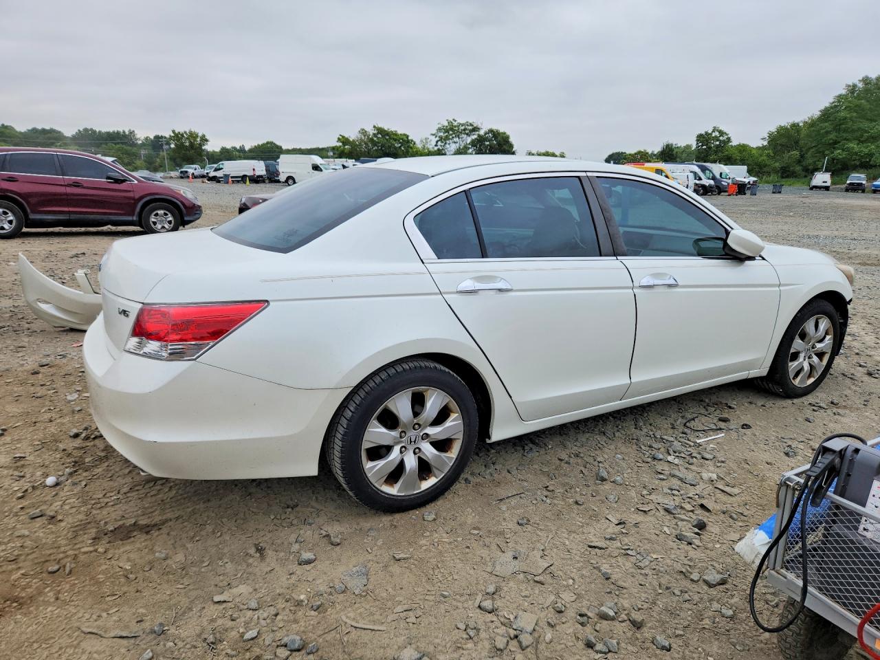 2008 Honda Accord Exl Белый vin: 1HGCP36838A068484