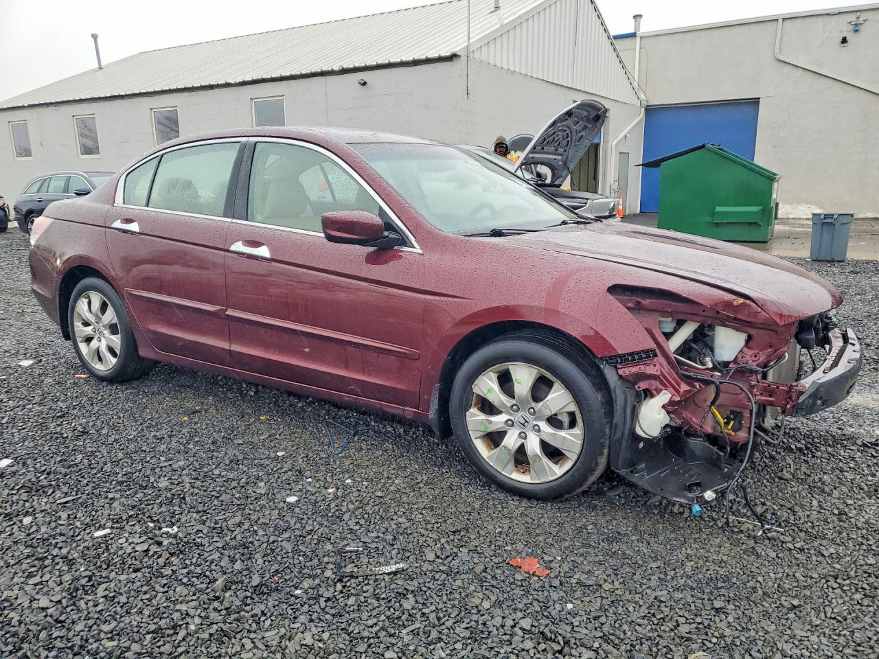 2009 Honda Accord Exl Burgundy vin: 1HGCP36839A001658