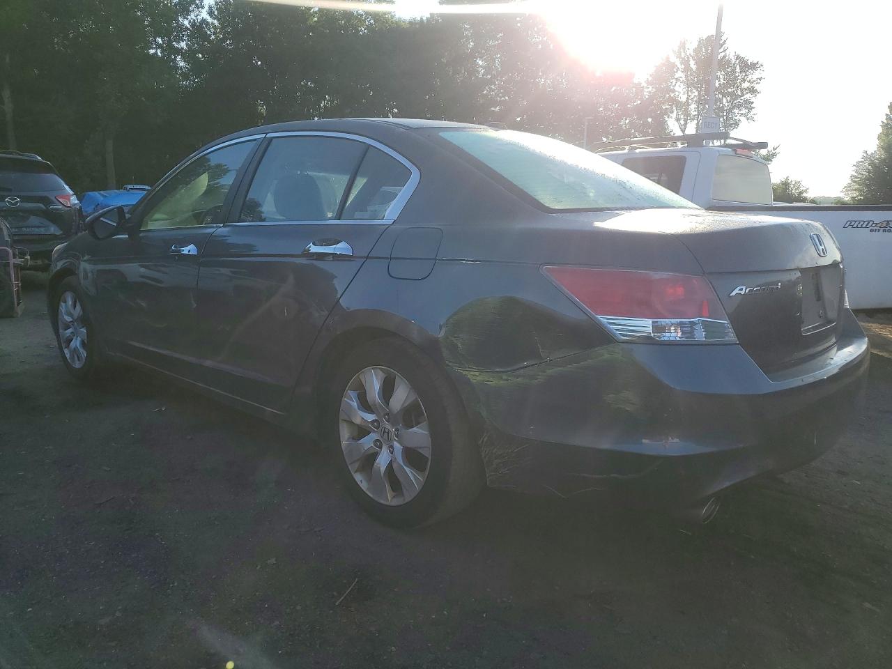 2009 Honda Accord Exl Gray vin: 1HGCP36839A009338