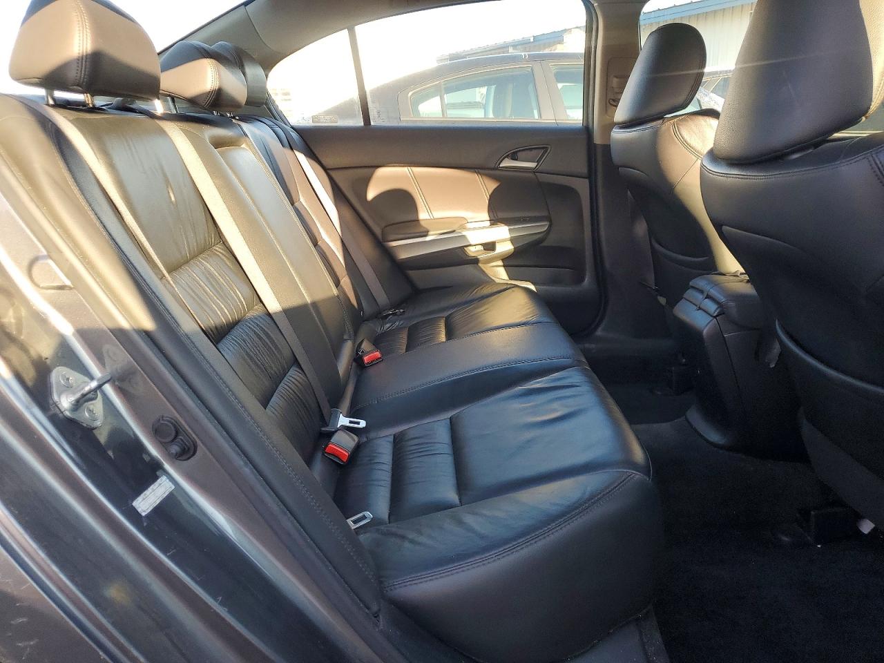 2009 Honda Accord Exl Gray vin: 1HGCP36839A009338