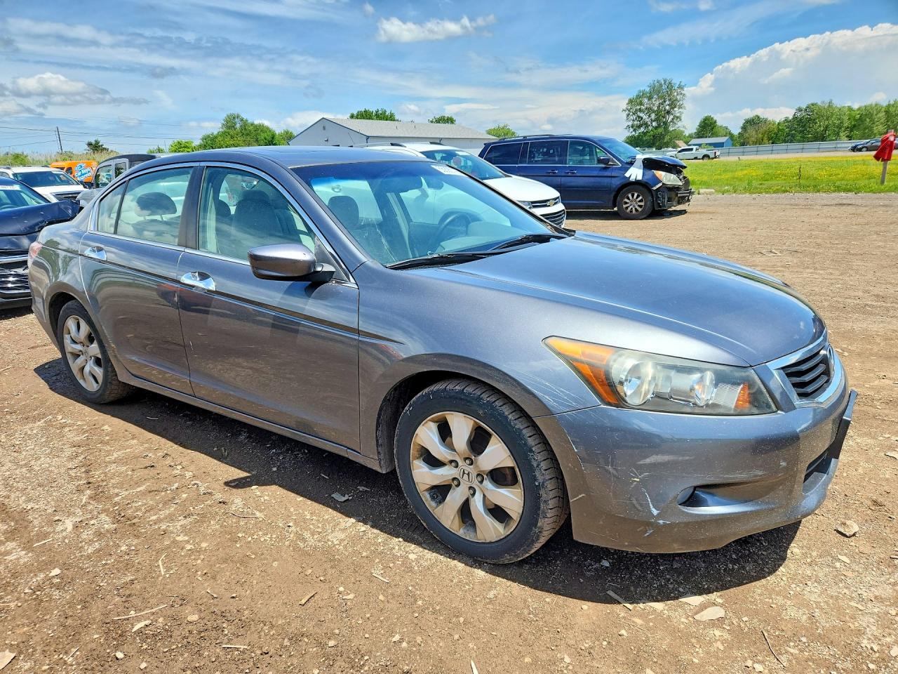 2009 Honda Accord Exl Gray vin: 1HGCP36839A014202
