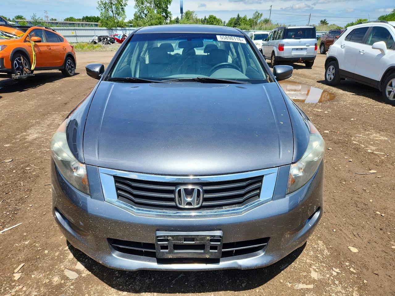 2009 Honda Accord Exl Gray vin: 1HGCP36839A014202