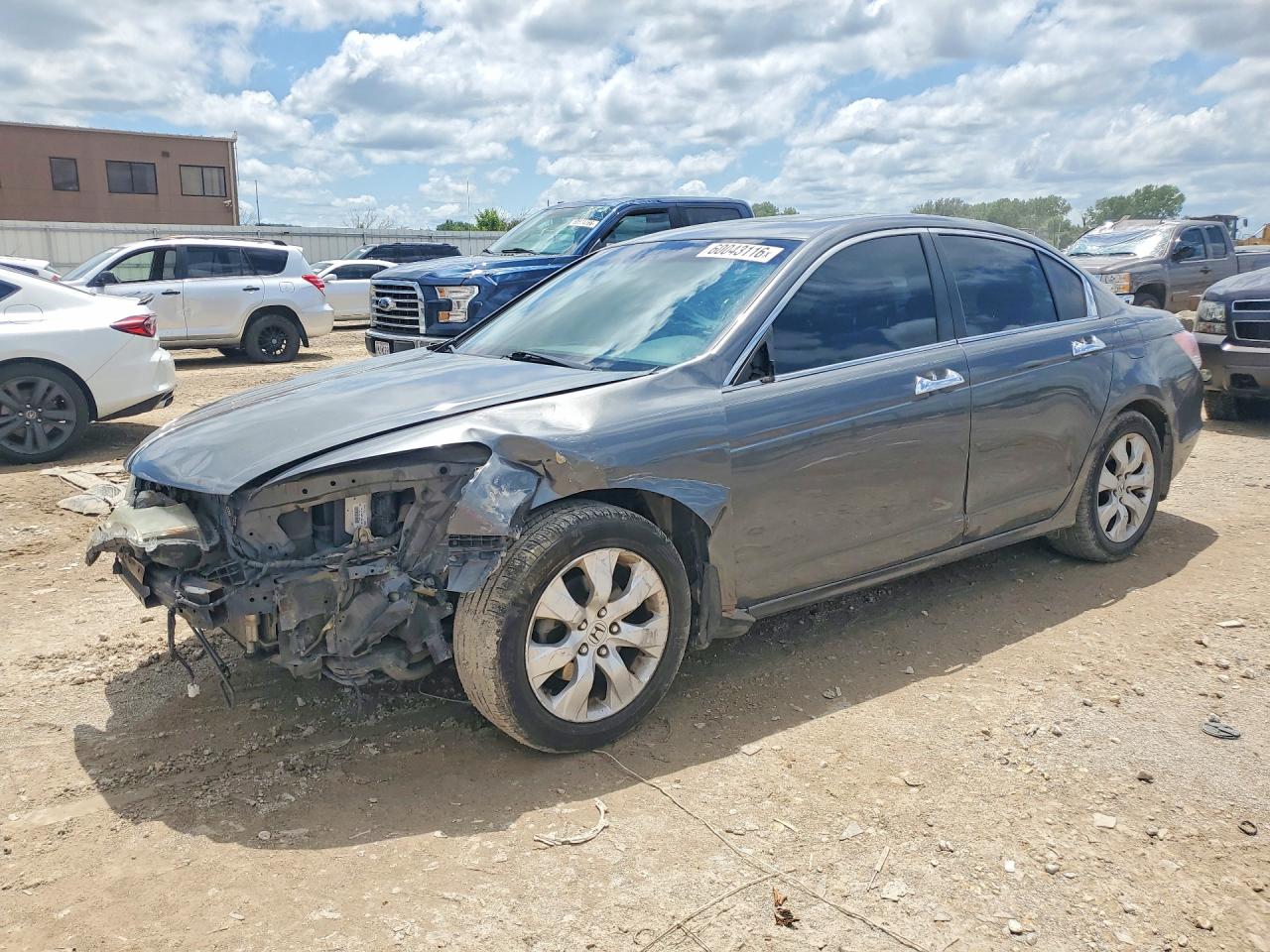 2009 Honda Accord Exl Gray vin: 1HGCP36839A014930