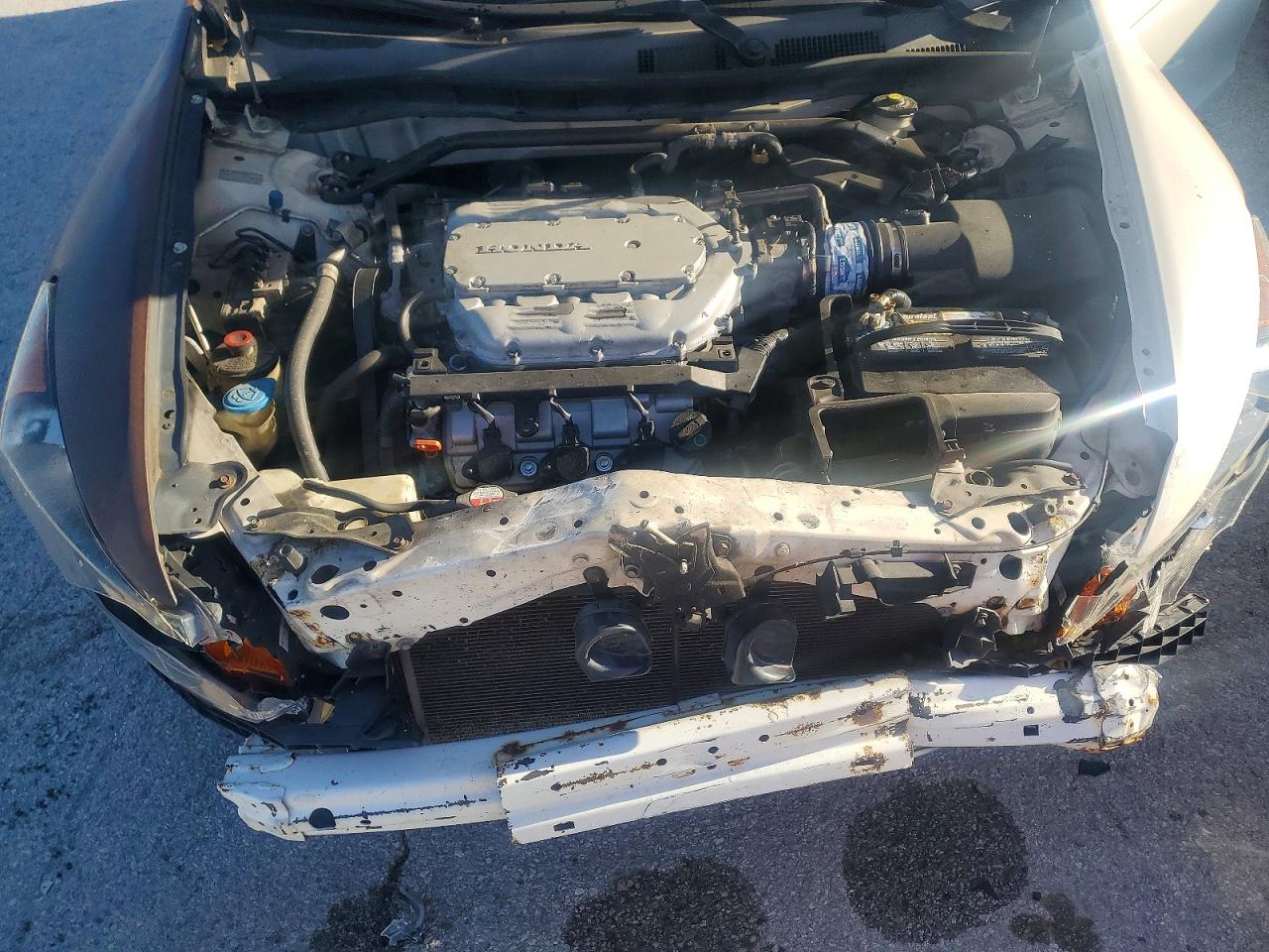 2009 Honda Accord Exl White vin: 1HGCP36839A028679