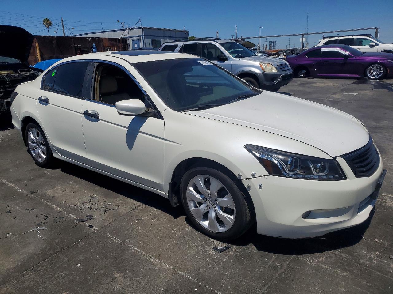 2009 Honda Accord Exl White vin: 1HGCP36839A043487