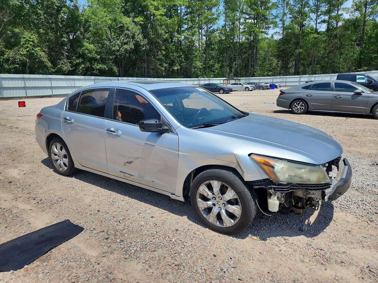 2008 Honda Accord Exl Silver vin: 1HGCP36848A024347