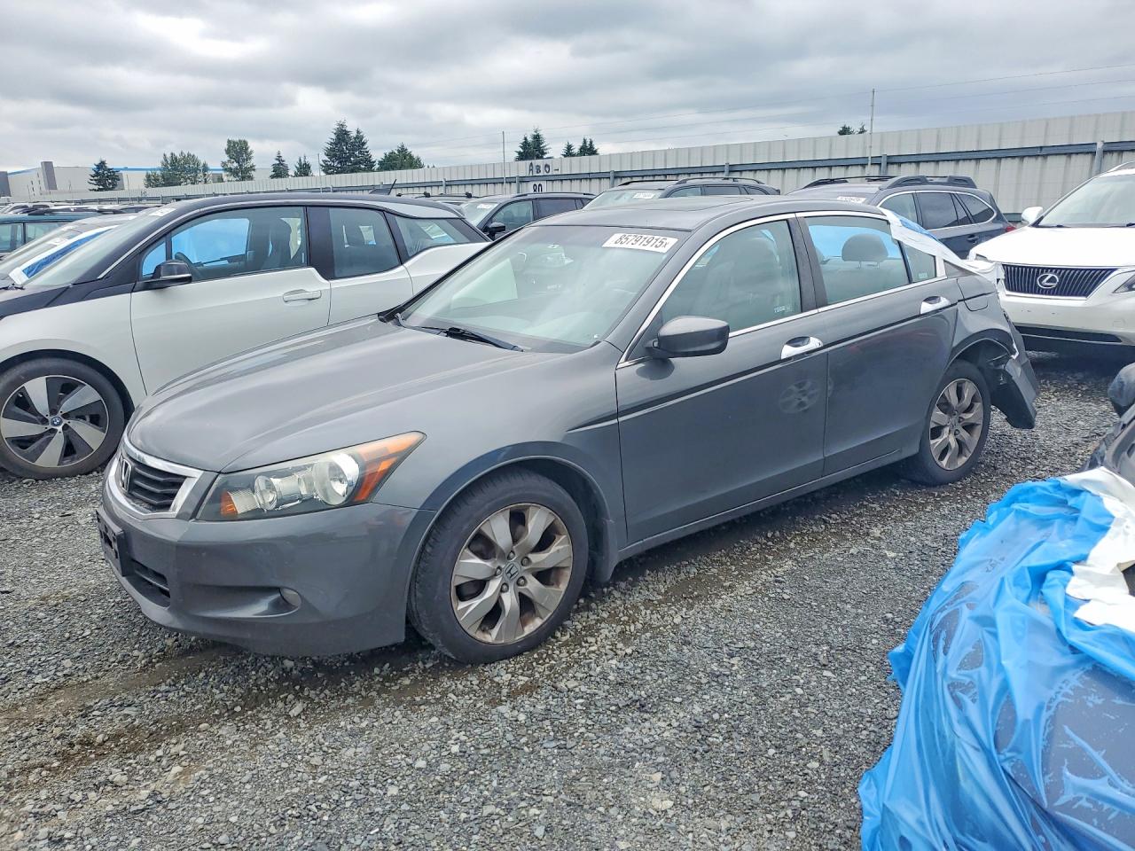 2008 Honda Accord Exl Gray vin: 1HGCP36848A030357