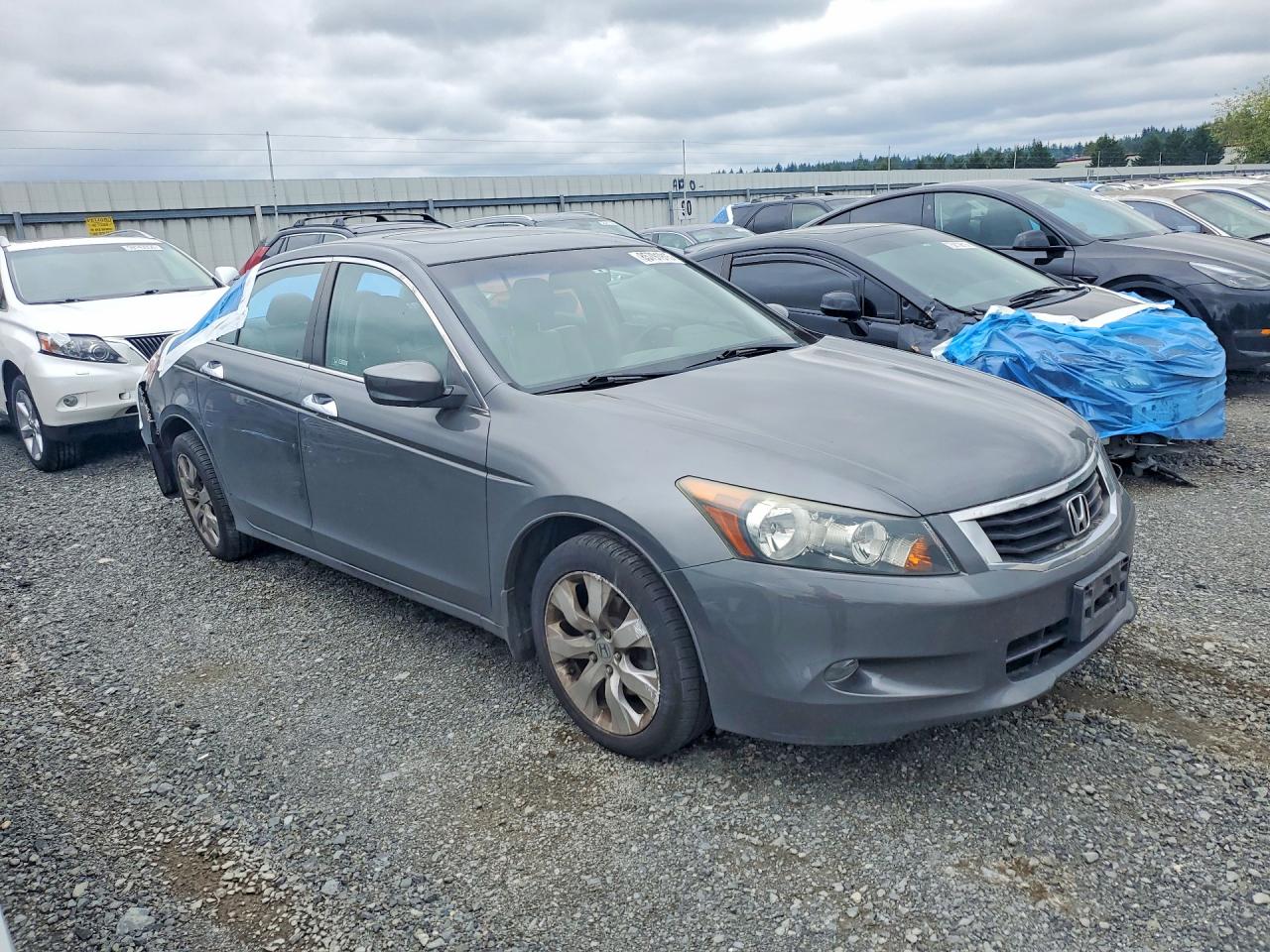 2008 Honda Accord Exl Gray vin: 1HGCP36848A030357