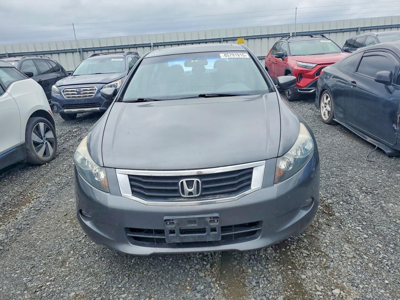 2008 Honda Accord Exl Gray vin: 1HGCP36848A030357
